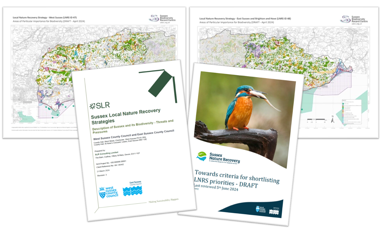 Published items low res.png